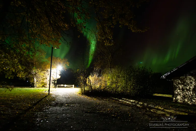 Aurora Lane