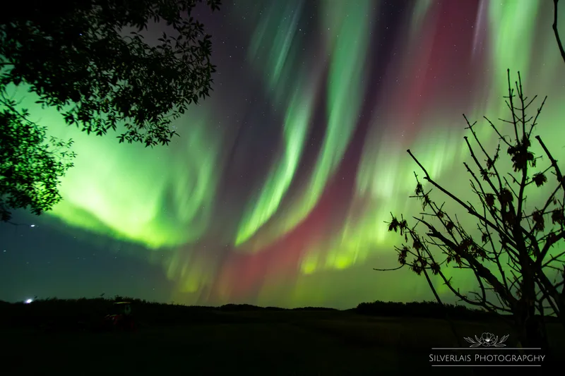 Borealis