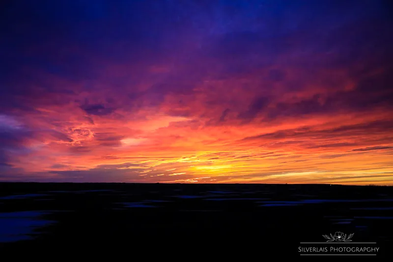 Fire In The Sky