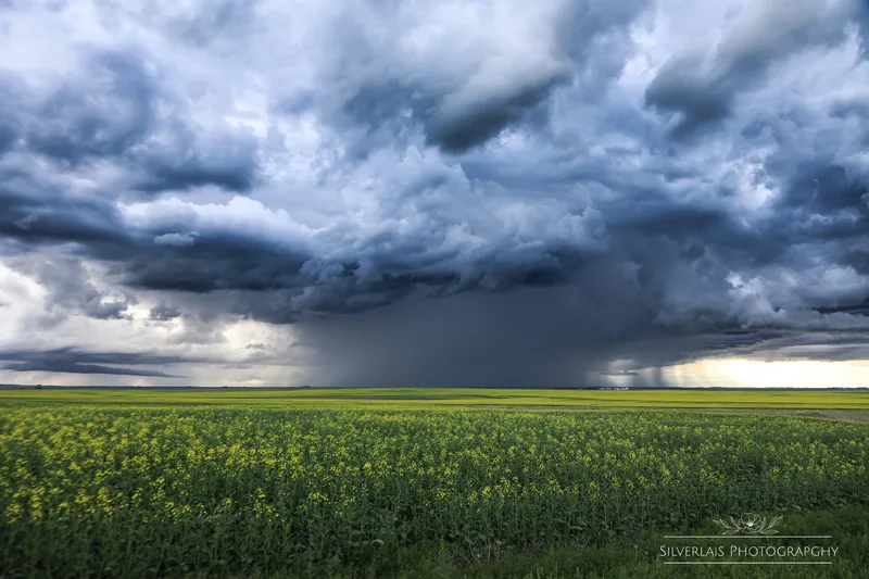 Prairie Reckoning